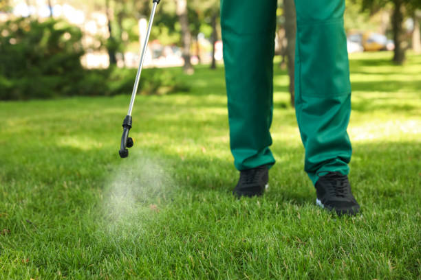 Best Local Pest Control Services  in Albion, NE
